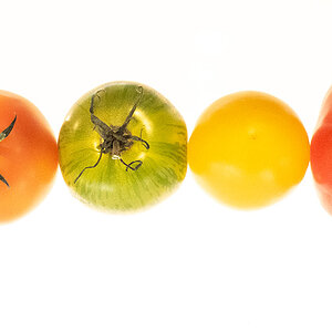 P9060027.jpg
