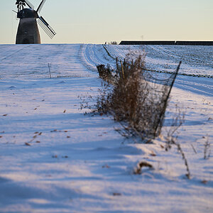 Z8A_1326fks35p1.jpg