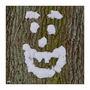 7/365 Eels – Sweet Smile © 2026 Sabine Lommatzsch