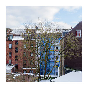 10/365 First Aid Kit – Winter Is All Over You © 2026 Sabine Lommatzsch