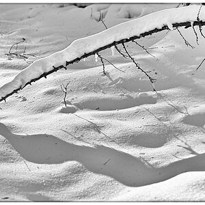 Licht und Schatten_BW.jpg