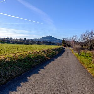 DSCF2442.jpg