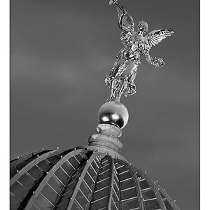fame bw