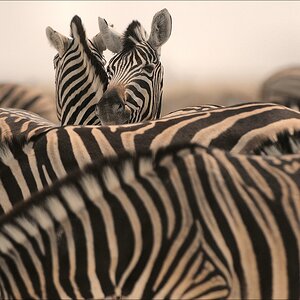 comp Namibia 09 12356
