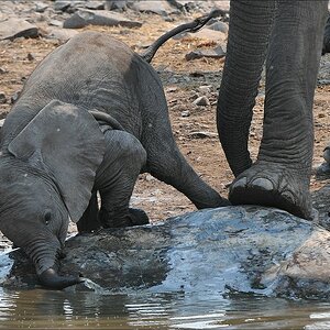 comp Namibia 09 12629