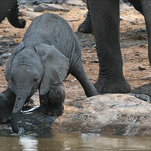 comp Namibia 09 12640