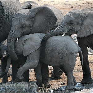 comp Namibia 09 12669