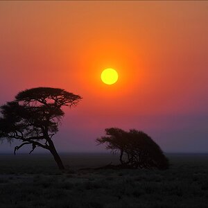 comp Namibia 09 16485