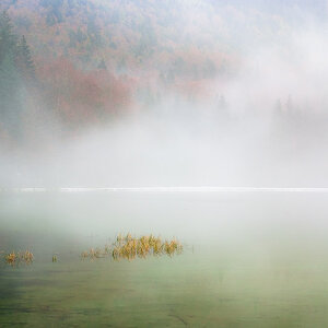 Nebliger Nachmittag am Frillensee, erster Schnee