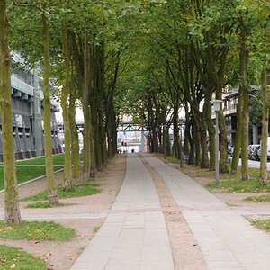 DSC 1734