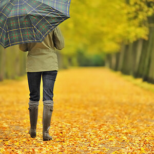 AN 006 Herbstportraits