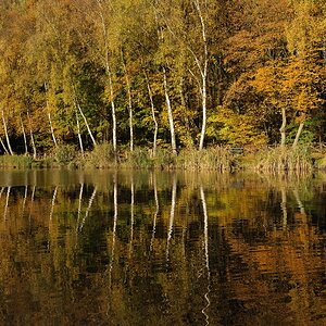 comp2 HerbstWVV 0041WVV 0041WVV 00410.0 eVNikon Her neu