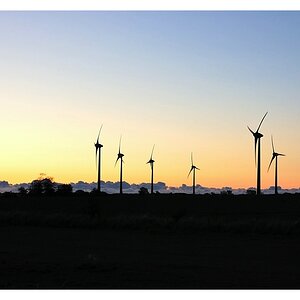 Fehmarn Windkraft am Morgen.