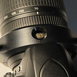 D30 0495ay
