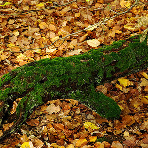 DSC6158 hsw