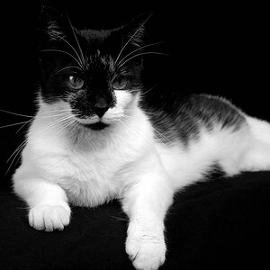 comp kATZE (3)
