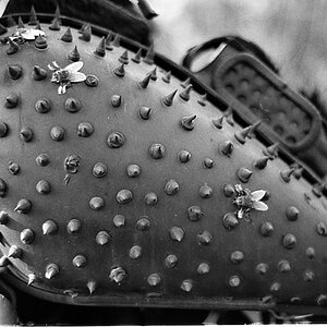 dscf9155bw