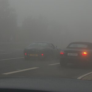 Nebel am Ring