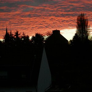 das Blaue