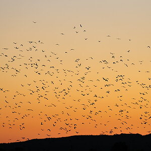00320091015 184014  DSC6015Toskana