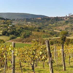 01220091017 123013  DSC6426Toskana