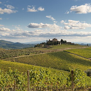 01420091017 154052  DSC6502Toskana