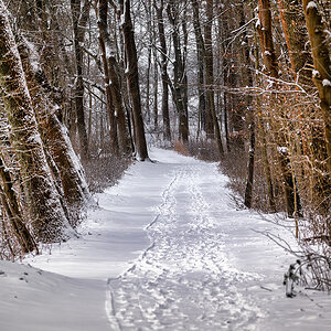 DSC_7524.jpg