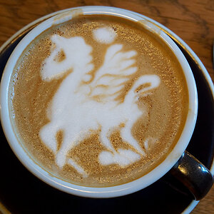 Pegasus.jpg