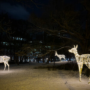IMG_5483b.jpg