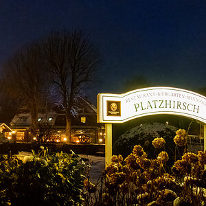 260127-004.jpg