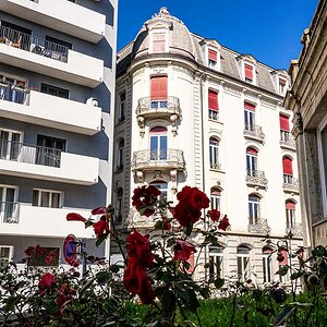 P9180161-Kopie.jpg
