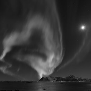 260129 Nordlicht Lofoten NF-F-2.jpg
