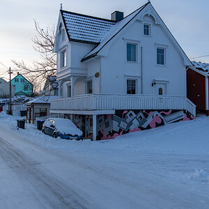260131 Lofoten-1.jpg