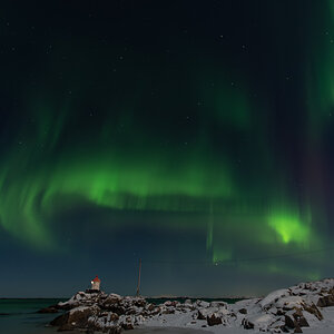 260129 Nordlicht Lofoten-3.jpg