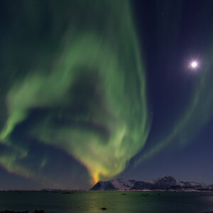 260129 Nordlicht Lofoten-5.jpg