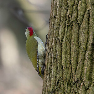 DSC_6612.jpg