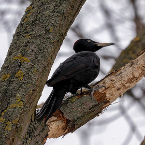 DSC_8556.jpg