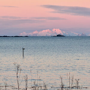260203 Lofoten NF-F-14.jpg