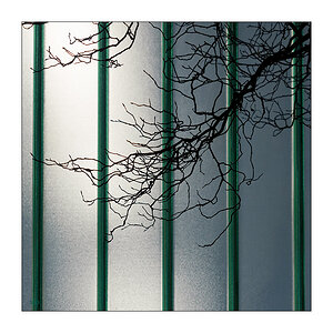 20/365 Moby feat. Mindy Jones – Heroes (Reprise Version) © 2026 Sabine Lommatzsch