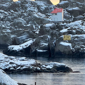 260204 Lofoten NF-F-3.jpg