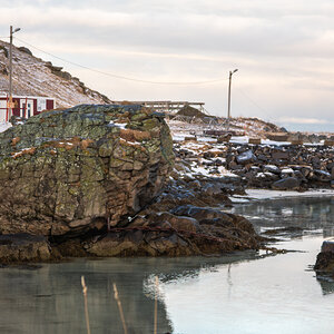 260205 Lofoten NF-F-3.jpg