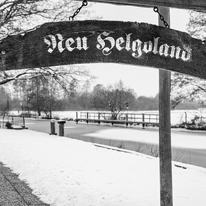Z7F_2773-030##.JPG
