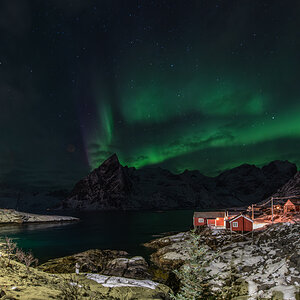 260207 Lofoten NF-F-29.jpg