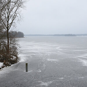 DSC_7232.JPG