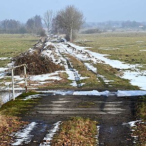 Seewiesen 100226.jpg
