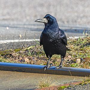 OF5_52940.jpg