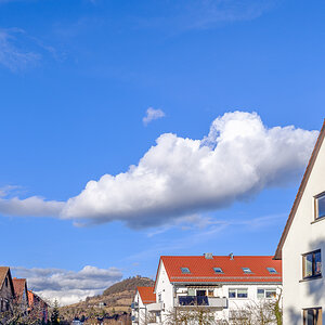 DSCF0031.jpg