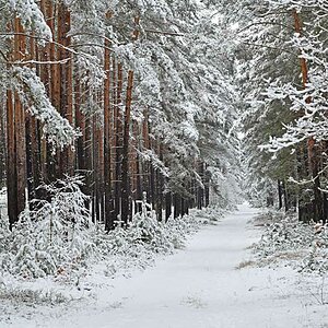 Winterwanderweg.jpg