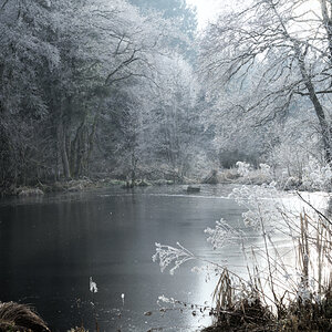 DSC_5462-Bearbeitet.jpg