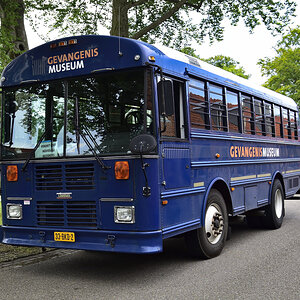 Thomas Built Buses